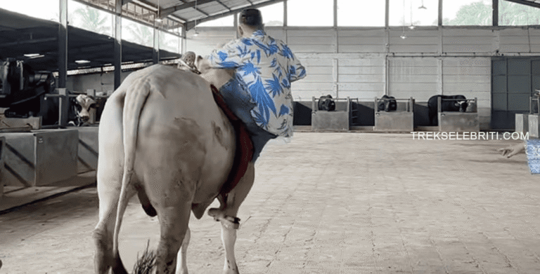 Raffi Ahmad Terjungkal