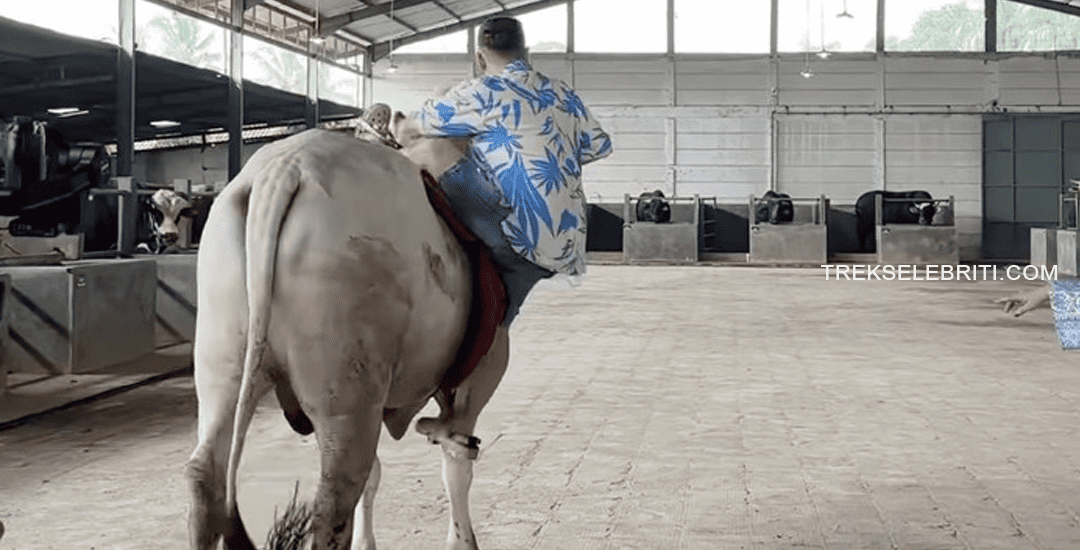 Raffi Ahmad Terjungkal